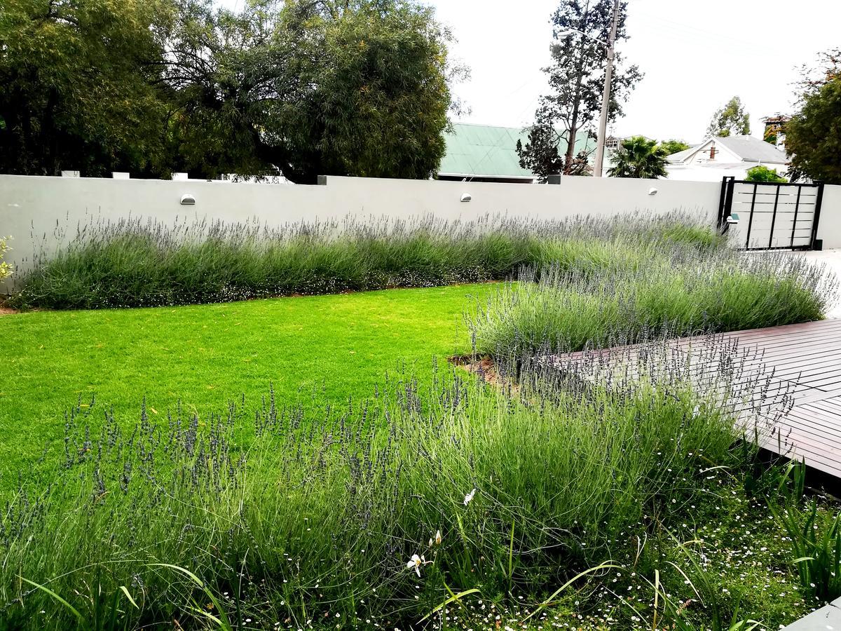 Tranquil House B&B @ 1 College Ave Queenstown Eksteriør billede